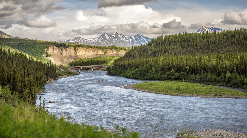 Denali National Park