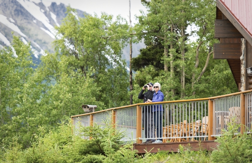 Wilderness views from the deck