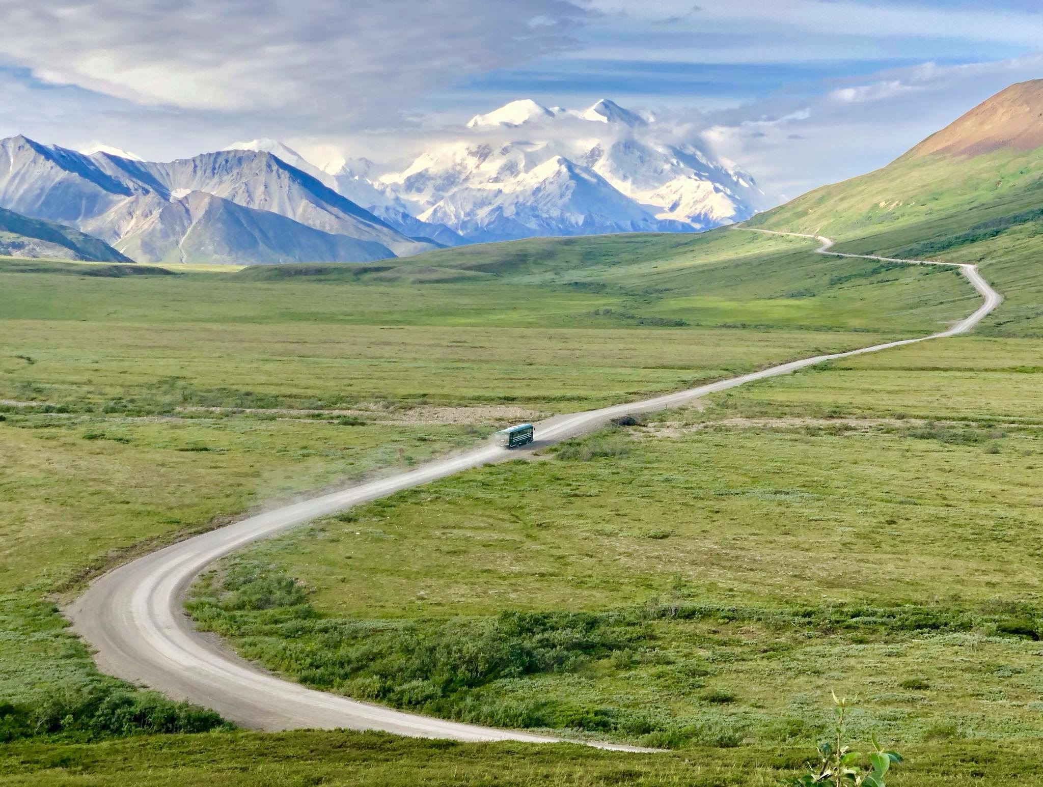 princess cruise tundra wilderness tour