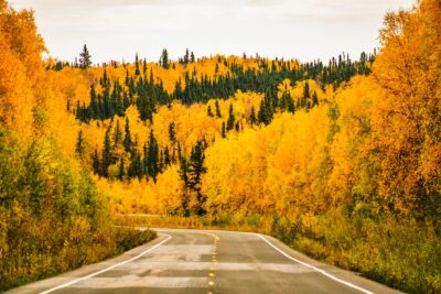 Fall Colors in Alaska