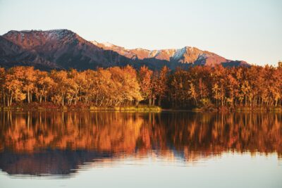 Fall colors in Alaska